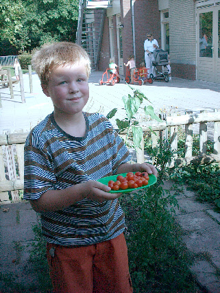 wpa45b6684_0f.jpg