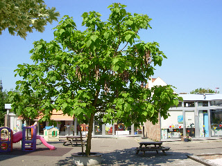 wpeffc76d9_0f.jpg